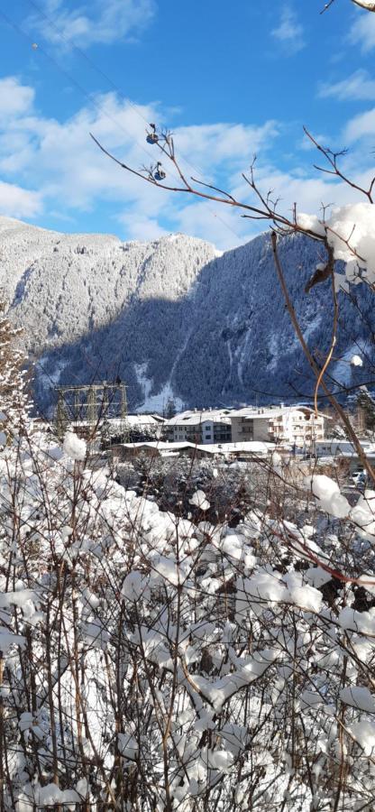 Hotel Haus Bergfriede à Mayrhofen Extérieur photo